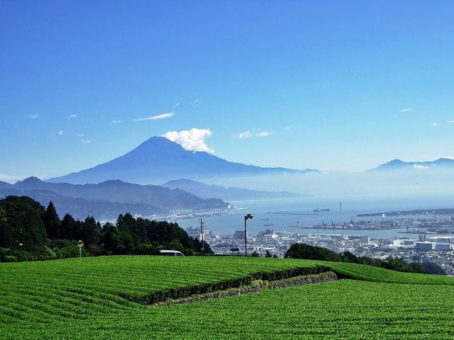 静冈 白滨大滨海水浴场 相良阳光海岸 岩地海水浴场 富士森林动物园