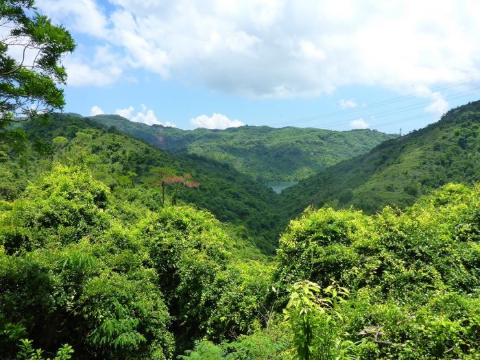 深井-大榄自然教育径-吉庆桥-伯公坳-大棠荔枝园