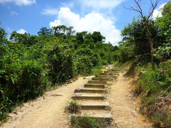 深井-大榄自然教育径-吉庆桥-伯公坳-大棠荔枝园