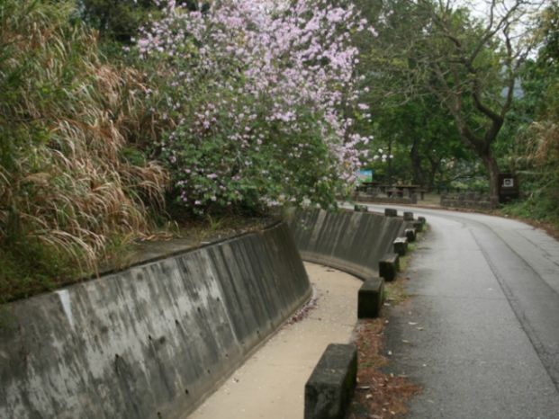 大欖引水道