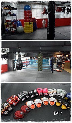 IRON Thai Boxing Studio