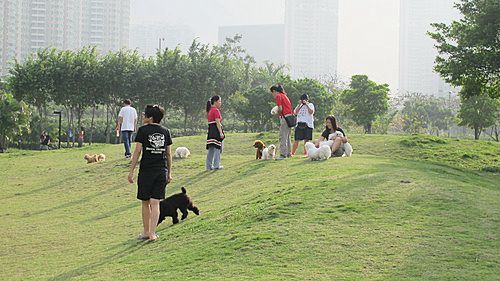 百慕達公園