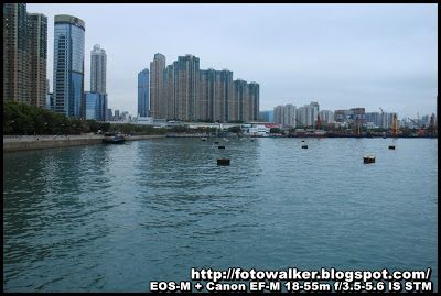 油麻地避風塘