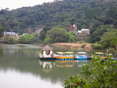 小白鷺餐廳 Little Egret Restaurant