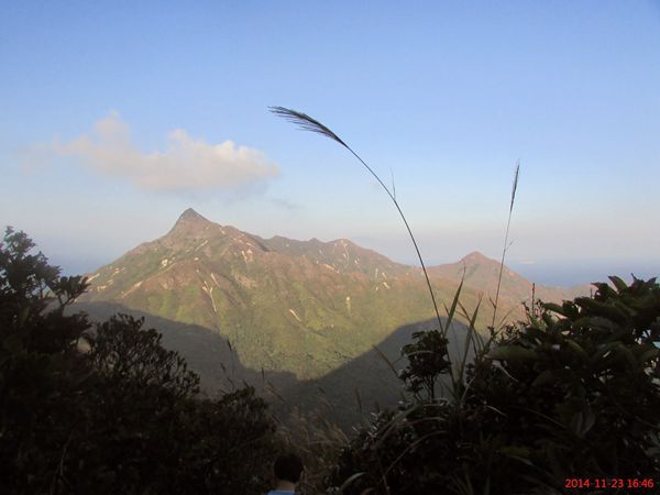 大蚊山