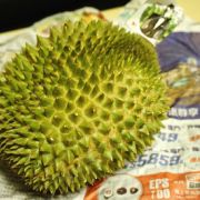 榴槤貴族 Mr. Durian