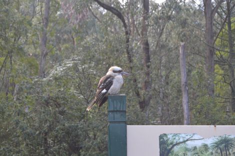 丹頓農山脈國家公園