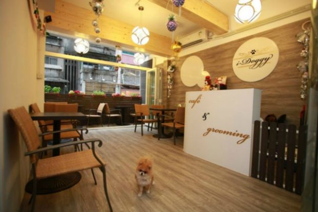 I-Doggy Cafe & Grooming