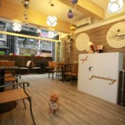 I-Doggy Cafe & Grooming
