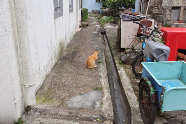 勝利香蝦廠