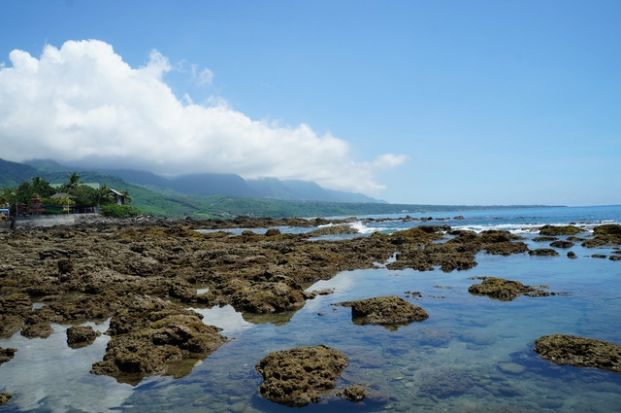 杉原海水浴場 / 復魚區 / 保育區 (台東)