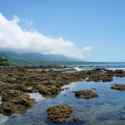 杉原海水浴場 / 復魚區 / 保育區 (台東)