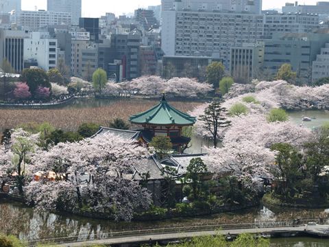 上野恩賜公園 (東京)