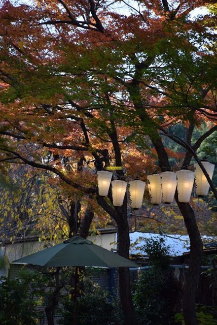 上野恩賜公園 (東京)