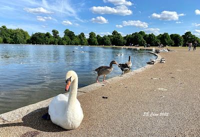 Kensington Gardens(倫敦)